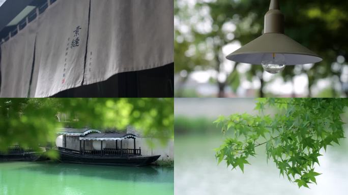 苏州园林、乌篷船、垂杨柳、树叶、风中摇曳