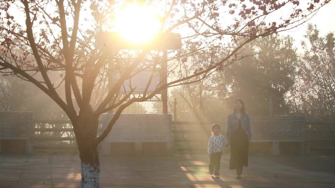 重庆南川：“樱花漫游季”助力乡村振兴