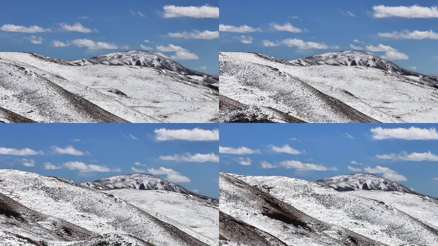 雪山 青藏高原 久治 青海 青海风光