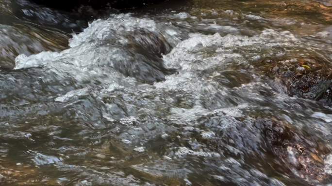 4K森林河流溪水潺潺小溪山泉水小河