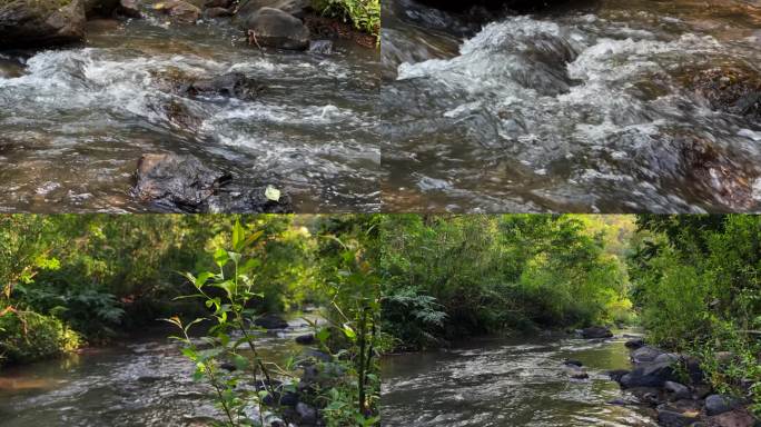 4K森林河流溪水潺潺小溪山泉水小河