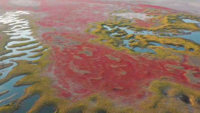 沼泽地 红地毯 芦苇荡 湖泊 河流 秋色