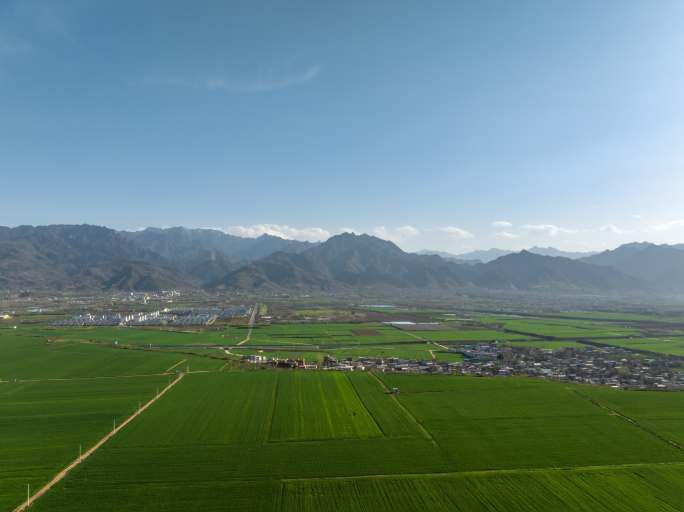 麦田云海延时航拍唯美麦田风光田野农田农场