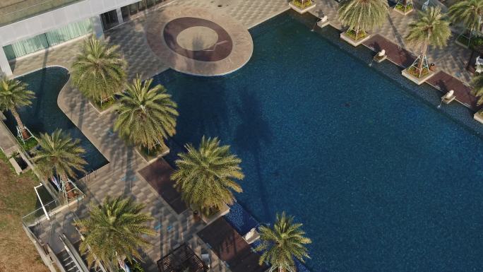 航拍蓝色泳池棕榈树旅游度假
