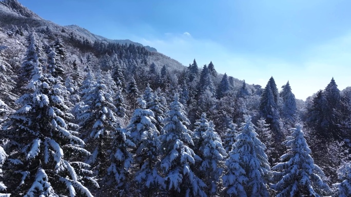 秦岭雪景实景航拍