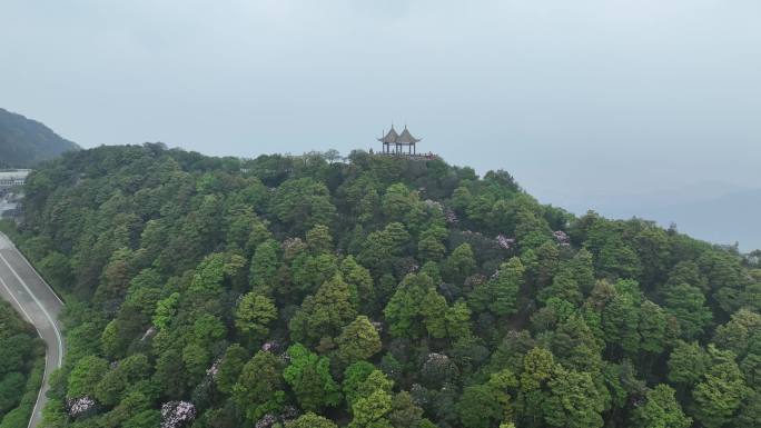 航拍24年深圳梧桐山春季双凤亭