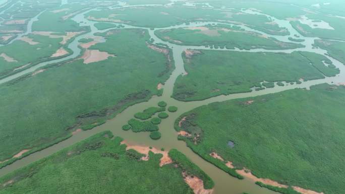 黄河入海口口湿地