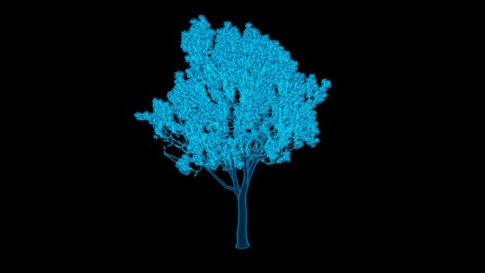 全息科技蓝色线框大树带通道无缝循环