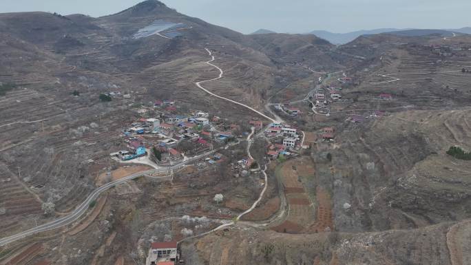 山东蒙阴樱桃峪村