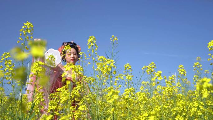 汉服 十二花神 国风春游