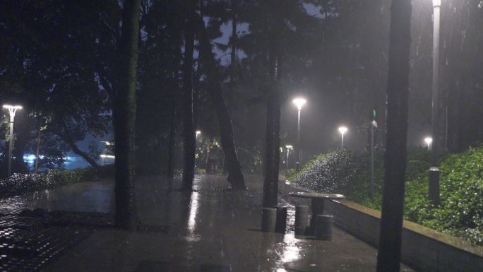 4K实拍，广州天河公园清明的夜晚滂沱大雨