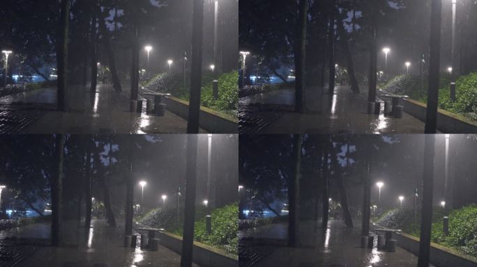 4K实拍，广州天河公园清明的夜晚滂沱大雨