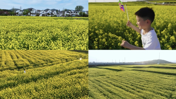 油菜花风车男孩奔跑新农村航拍高铁飞驰