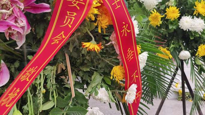 烈士陵园纪念碑少先队员向英雄致敬献祭花朵
