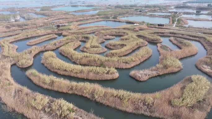 4k江苏白马湖国家湿地生态新画卷