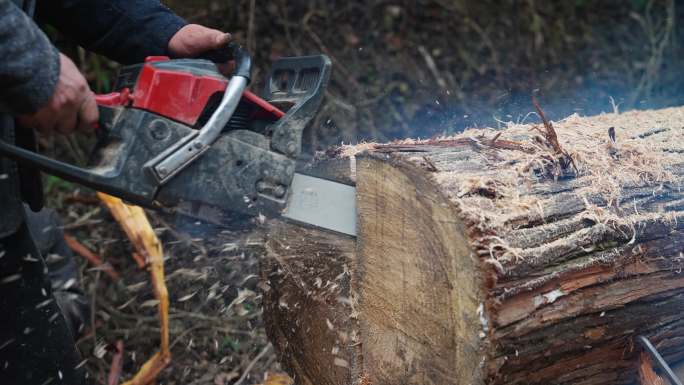 油锯伐木锯木材寿方