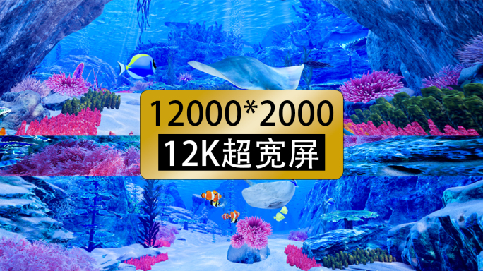 12k超宽屏海底世界鲸鱼海洋鱼群