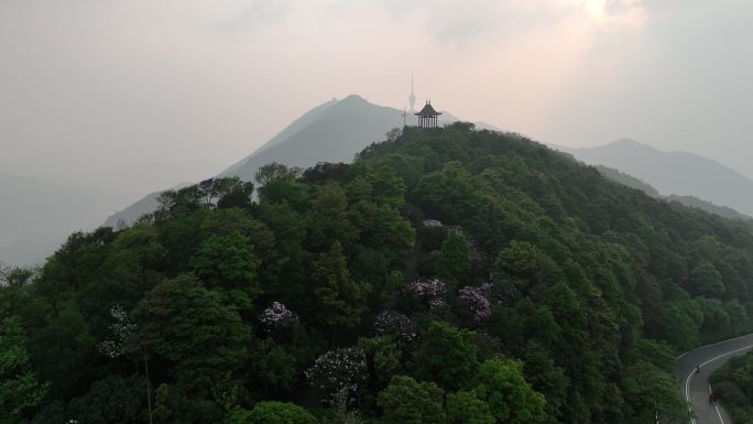 航拍24年深圳梧桐山春季双凤亭