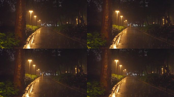 4K实拍广州天河公园夜雨中撑伞散步的市民