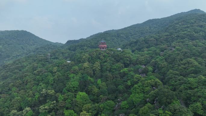 航拍24年深圳梧桐山凤凰台