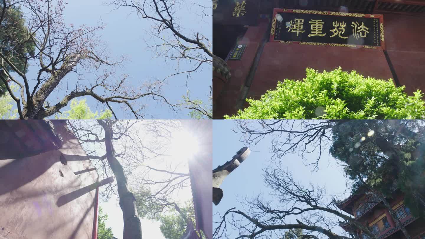 寺庙空境素材