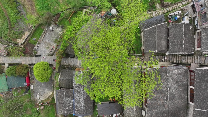 中国广东省清远市连南千年瑶寨景区