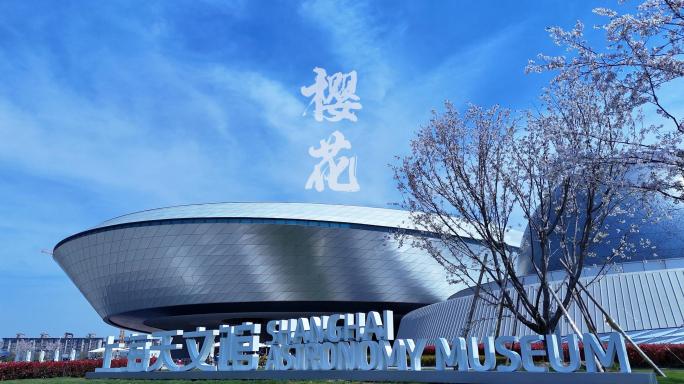 上海天文馆樱花