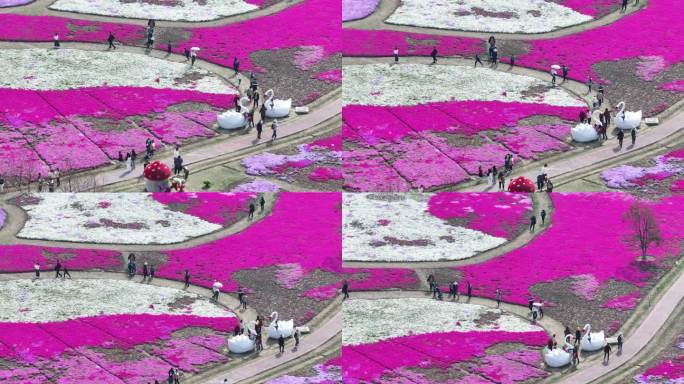 春花烂漫旅游季