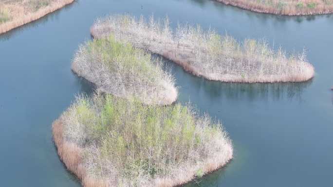 4k江苏白马湖国家湿地生态新画卷