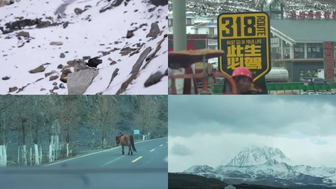 4K川藏线 白塔 雪山 自驾游 高原大雪
