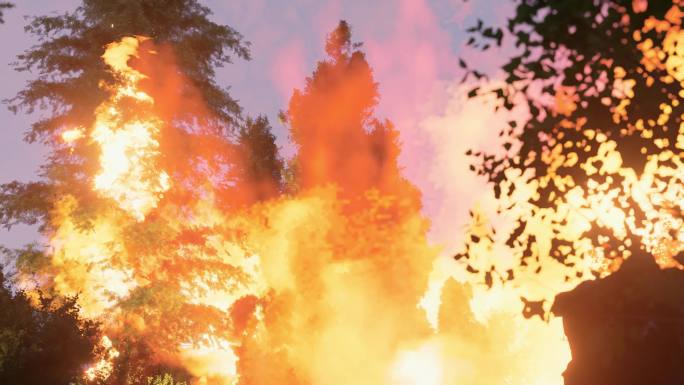 山火熊熊燃烧的森林大火失火防火安全