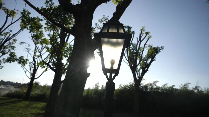 树木路灯逆光光影太阳光夕阳流光光线变化