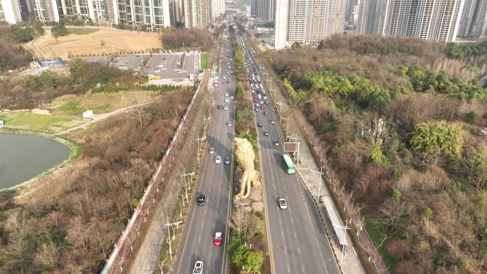 贵阳观山湖大桥上石狮子