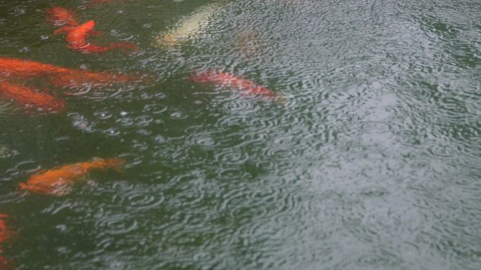 下雨的湖面