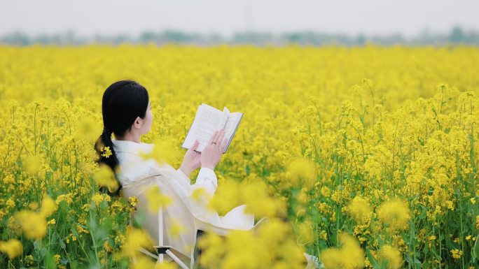 油菜花 花田 油菜花田里看书的女孩 春光