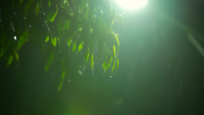 实拍路灯雨夜