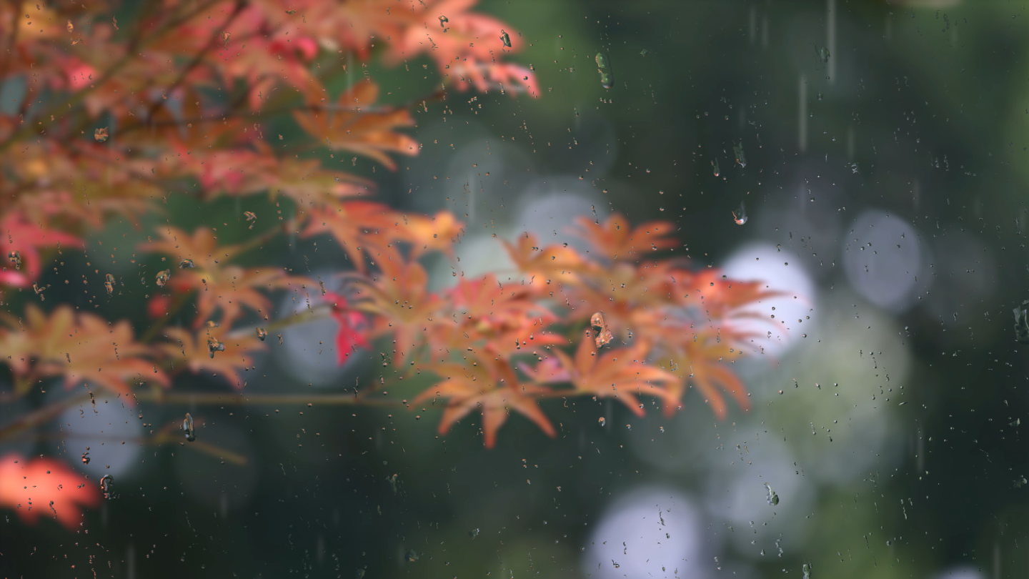 下雨雨滴滑落动画可替换素材