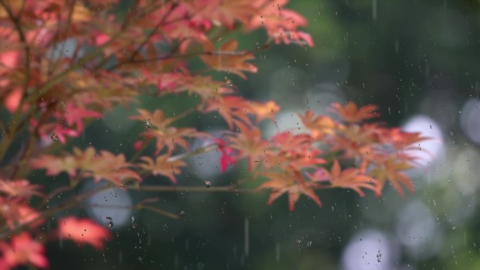 下雨雨滴滑落动画可替换素材