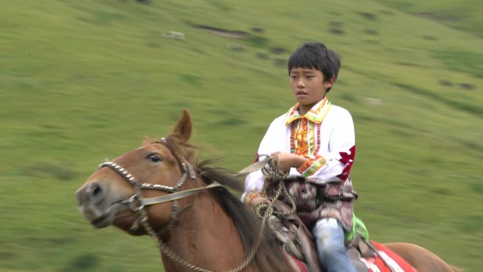 游牧帐篷 牧民放牧 牧民生活 挤奶 藏族