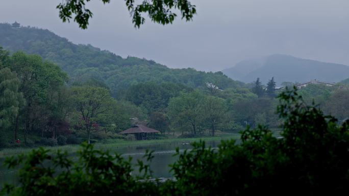 茅家埠雨后素材