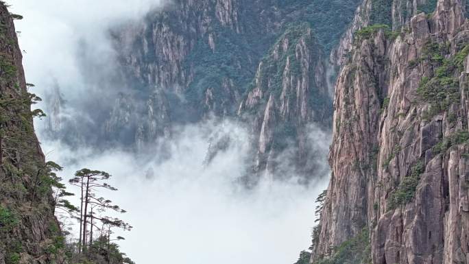 黄山 云海 瑶台 延时 西海 奇松怪石