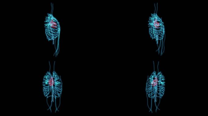 心脏 血液人体器官心肺功能心脏病冠心病9