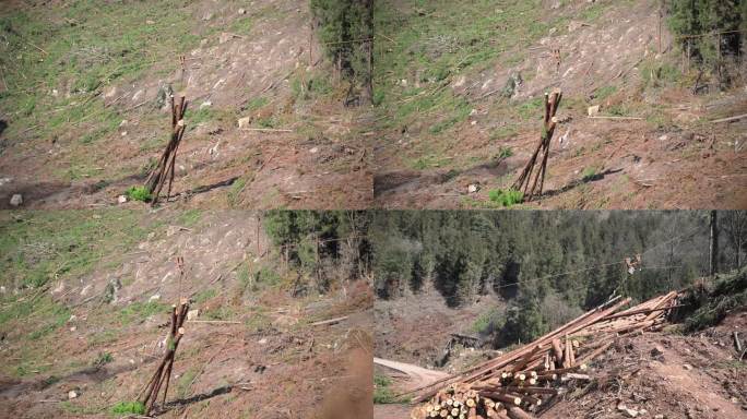 树木砍伐索道运输木材