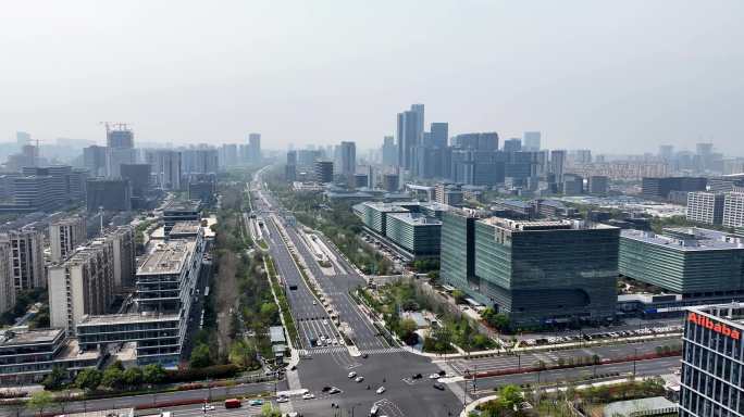 杭州未来科技城文一西路通往春天的樱花大道