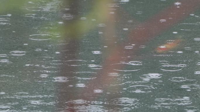 春雨  雨滴