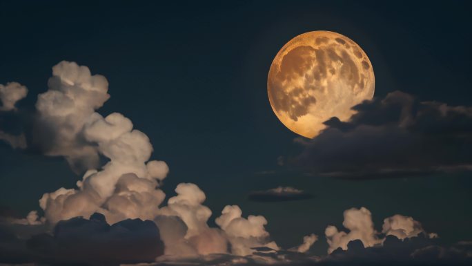 中秋月亮 金色大月亮 海上升明月花好月圆