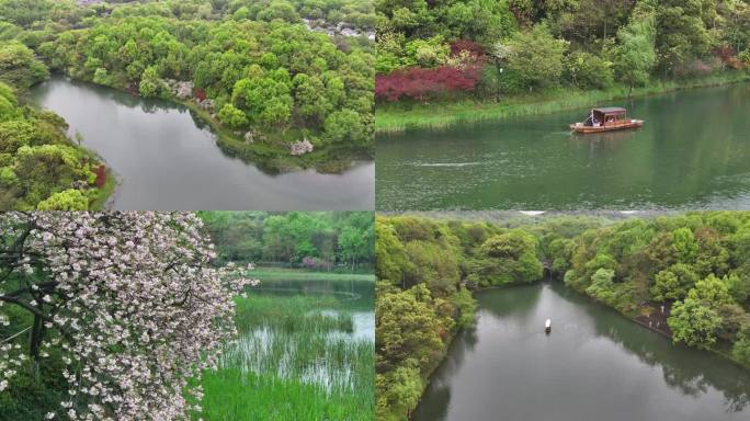 4k4月初阴雨天乌龟潭晚樱盛开摇橹船绿意