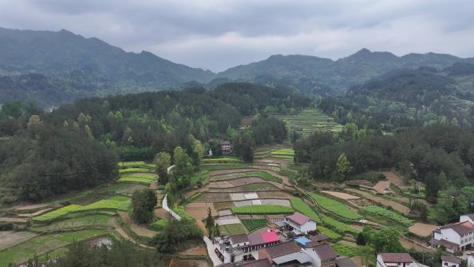 汉中 南郑 红寺湖风景区 航拍 油菜花