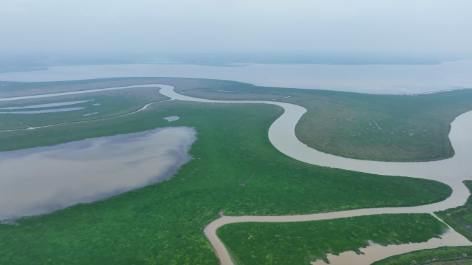 升金湖池州湿地长江支流东至