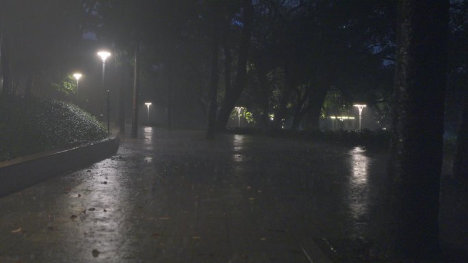 4K实拍广州天河公园夜雨中撑伞散步的市民
